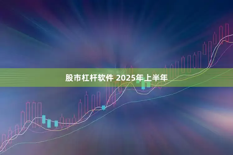 股市杠杆软件 　　2025年上半年