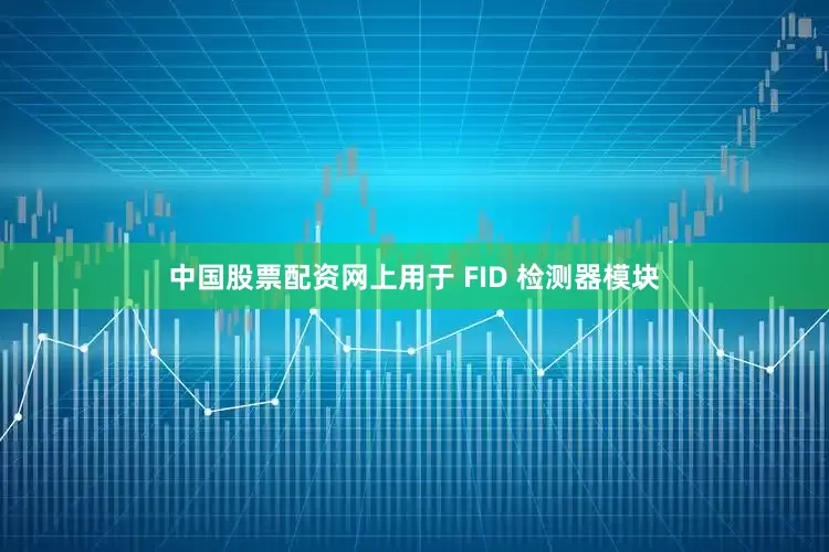 中国股票配资网上用于 FID 检测器模块