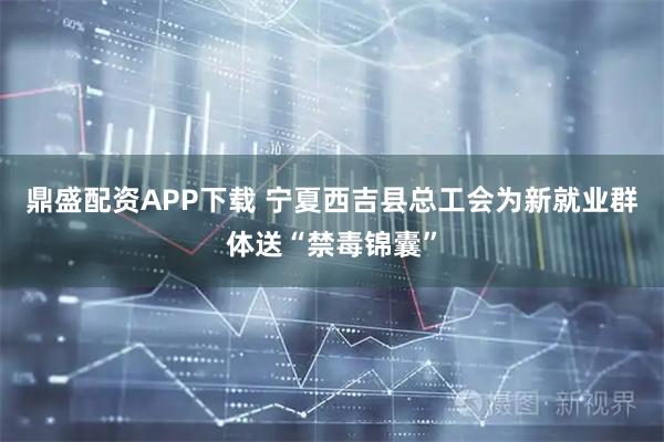 鼎盛配资APP下载 宁夏西吉县总工会为新就业群体送“禁毒锦囊”