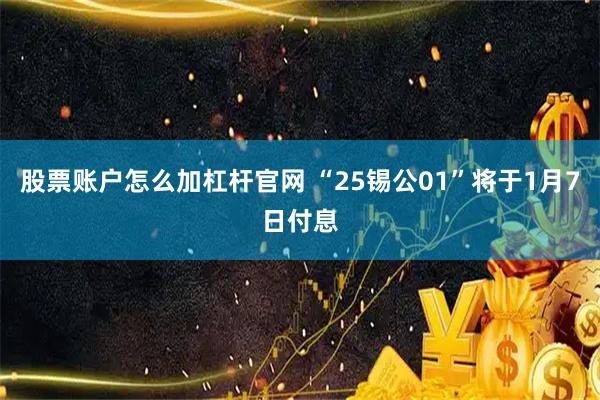 股票账户怎么加杠杆官网 “25锡公01”将于1月7日付息