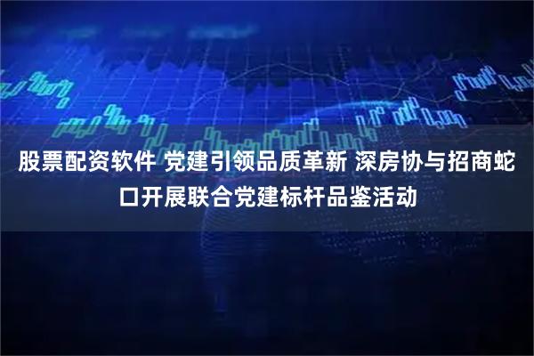 股票配资软件 党建引领品质革新 深房协与招商蛇口开展联合党建标杆品鉴活动